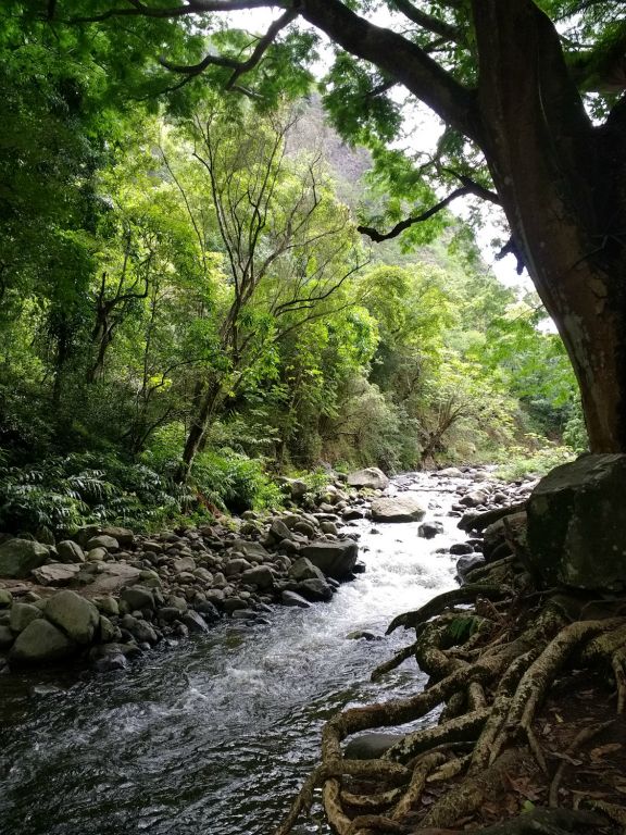 Views from Iao Valley